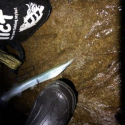 アジと脂ノリノリサヨリ♪