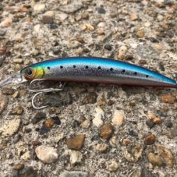 呑ませでは釣れない