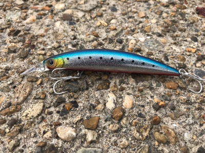 呑ませでは釣れない