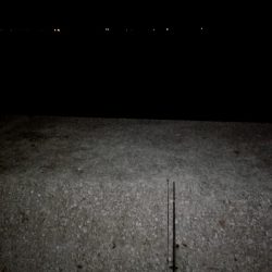 今期ケーソン初タチウオ