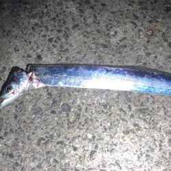 武庫一、タッチ〜勝負