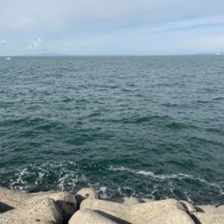 青物が釣りたくて！