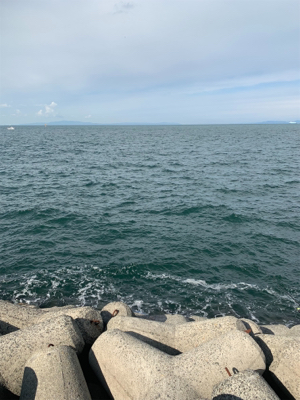 青物が釣りたくて！