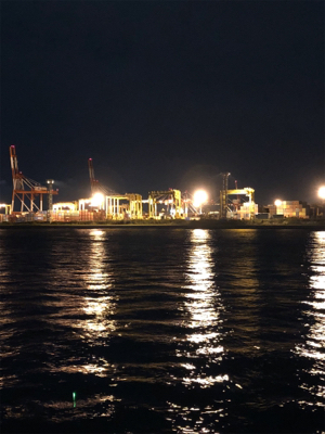 太刀魚浮き浮き