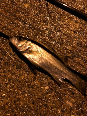 仕事終わりにライトゲーム