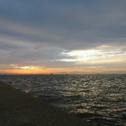 神戸沖堤調査No1