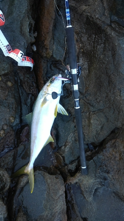 島根遠征　二日目