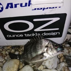 自然には、勝てず