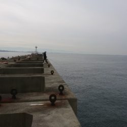 ノマセが強いのか！？