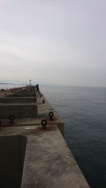 ノマセが強いのか！？