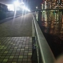 シブイ・・・　～辰巳一付近～