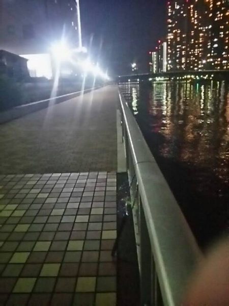 シブイ・・・　～辰巳一付近～