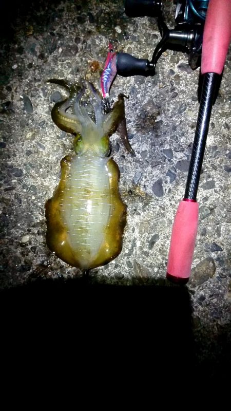 行って良かった