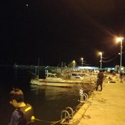 ボチボチな釣果