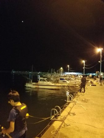 ボチボチな釣果