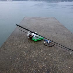 雨でも跳ねまくり