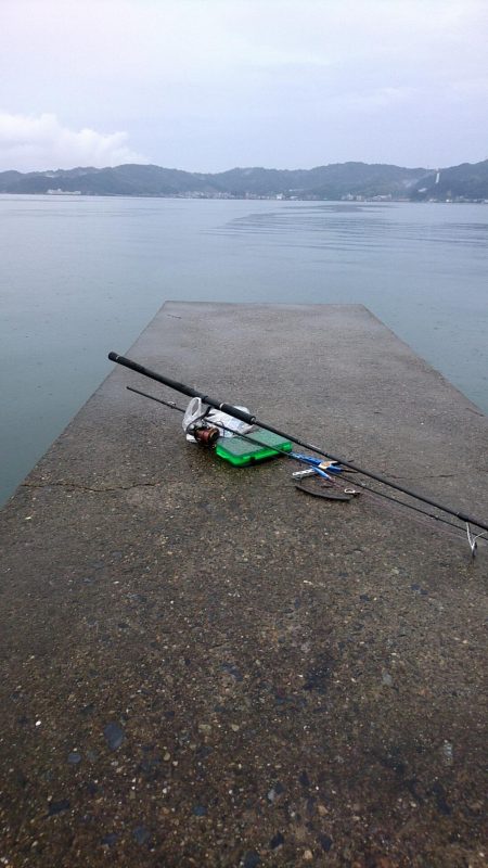 雨でも跳ねまくり