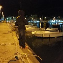 しっぶーい釣果