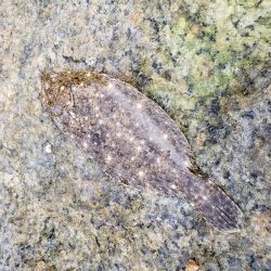 再び舞鶴エリアへ・・・