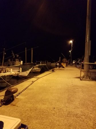 しっぶしぶな釣果