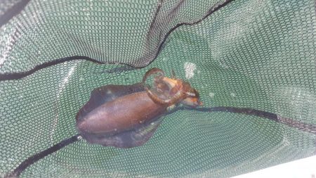 久々のマイボートフィッシング