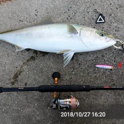 久々に来たぁ~!