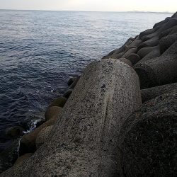 ワインドでタチウオ