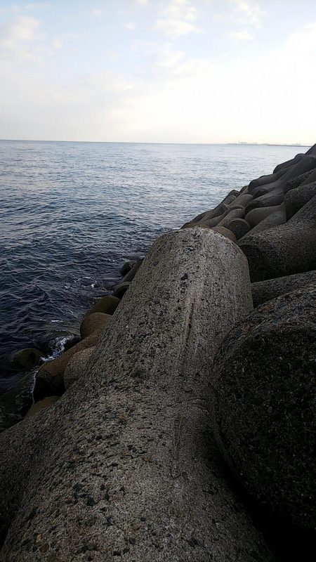 ワインドでタチウオ