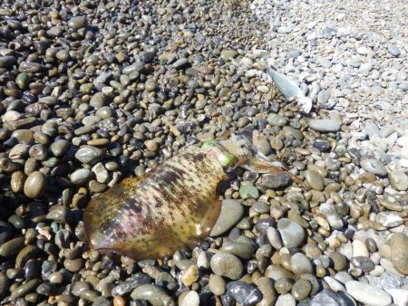 寝坊からスタート