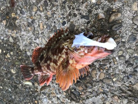 最後の最後に…