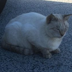 キャンプの釣り