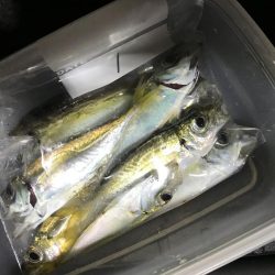 アジング・メバリング