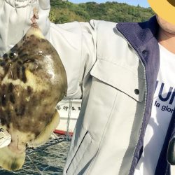 良型のカワハギ