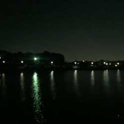 やっとタチウオ！