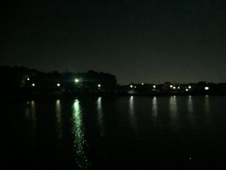 やっとタチウオ！