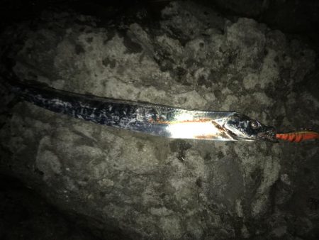 エギングショアジギング