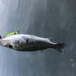 久しぶりに‼️