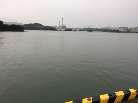 小雨の中、タチウオ