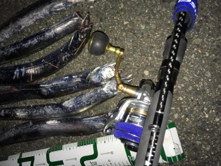 太刀魚と釣り人の多さは安定。