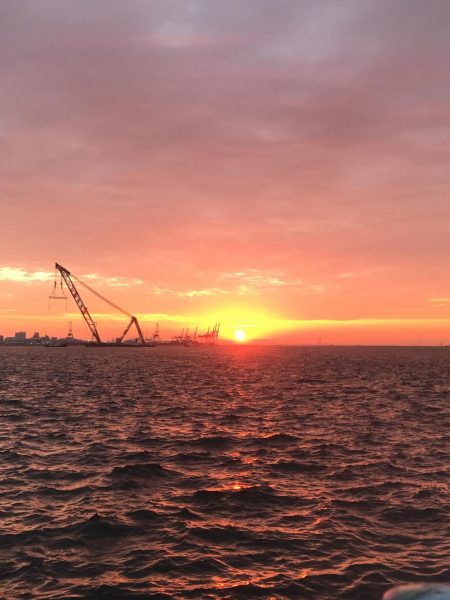 タッチーはもうええわ。