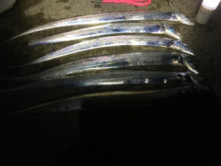 西宮浜太刀調査