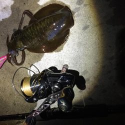 小雨の中のエギング