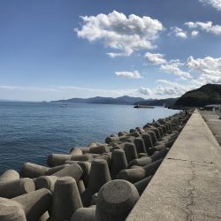 淡路島まで初遠征。