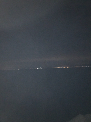 まだ、居てた！