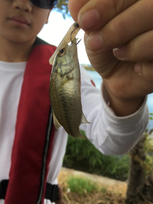 琵琶湖 バス釣り