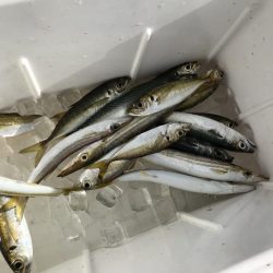 前日のリベンジ