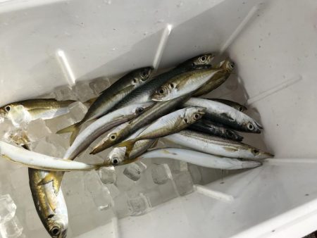 前日のリベンジ