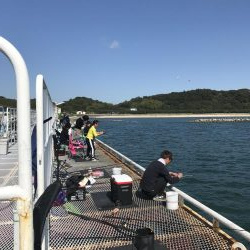 なんとかガシラ