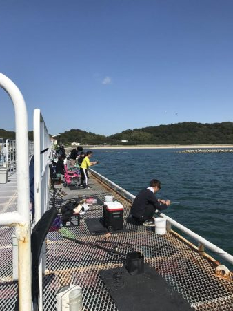 なんとかガシラ