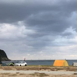 チビシーバス入れ食い